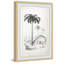 The Arecaceae - Single Picture Frame Painting-335151844