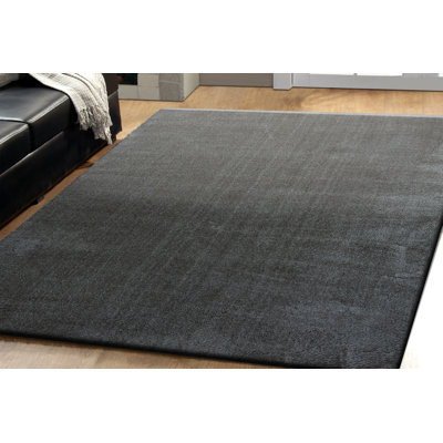 Anjeanette Performance Indoor Rug