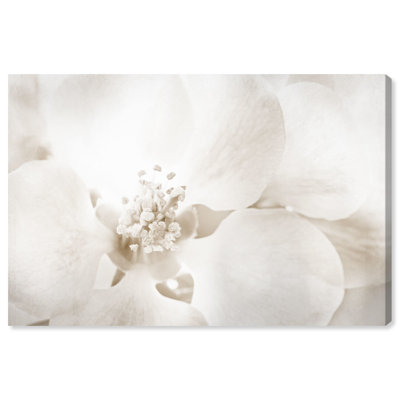 «Floral and Botanical Orchid Love», reproduction d'art graphique sur toile