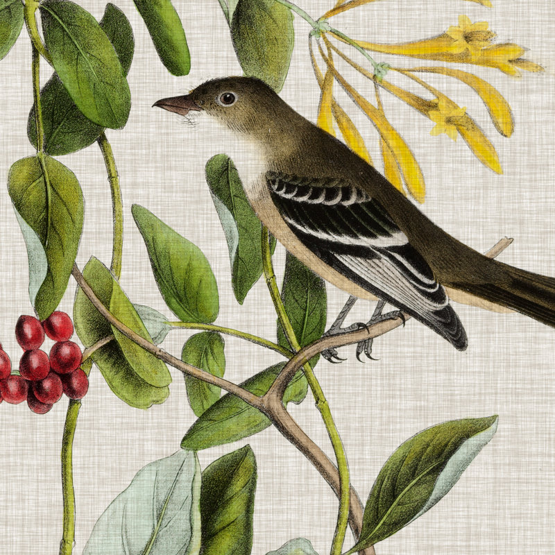 Avian Crop II by John Audubon - Wrapped Canvas Painting, 91cm H x 91cm W x 3.8cm D