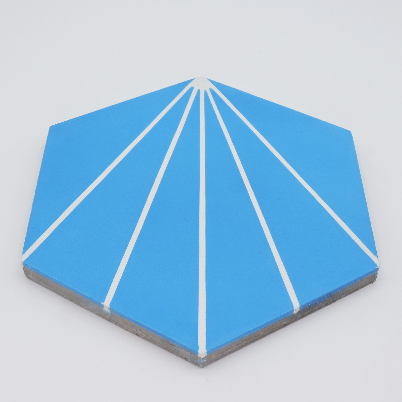 Menara 8" x 9" Cement Patterned Tile, Blue/White
