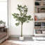 Eucalyptus artificiel en pot de chambre de bébé en plastique-546823166