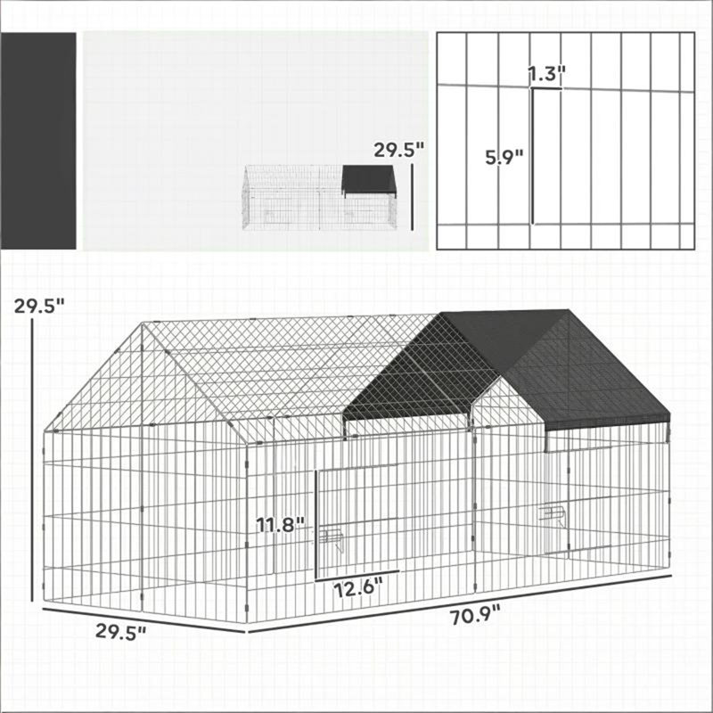 Backyard Chicken Coop