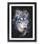 The Eyes of a Wolf - Picture Frame Painting Print-56742475-56742476