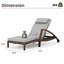Ensemble de 2 chaises longues d'extérieur en osier en forme de S avec roulettes et dossier réglable