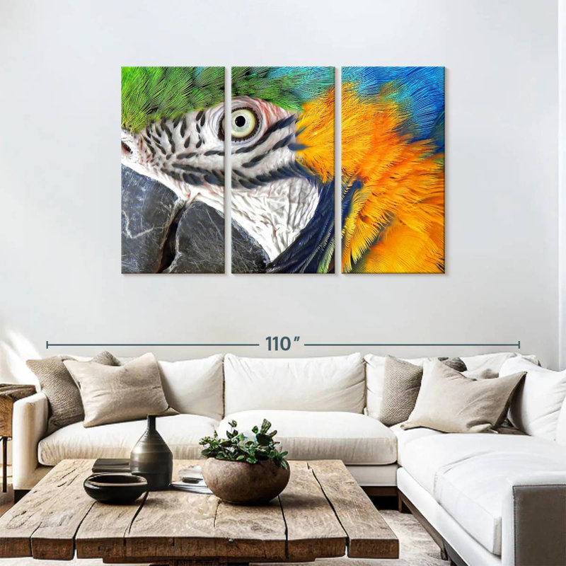 Brampt Macaw Eye, 48" H x 74" W
