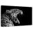 Brampt Jaguar Yawn-108871714