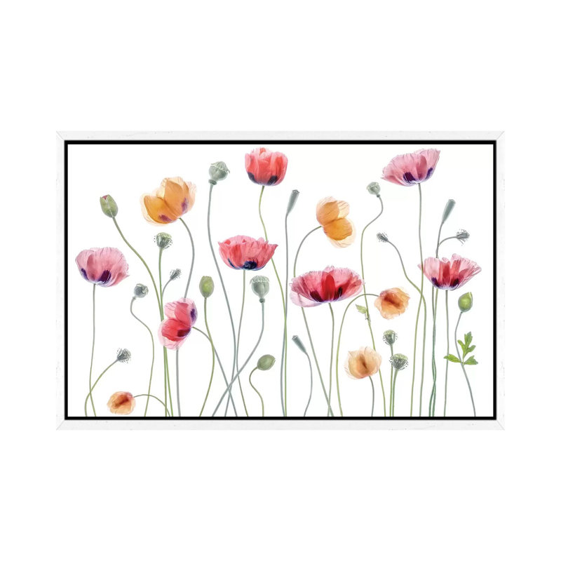 Papaver Party 1 Piece Wall Art on Canvas, 45.72cm H x 66.04cm W x 3.81cm D, White Framed