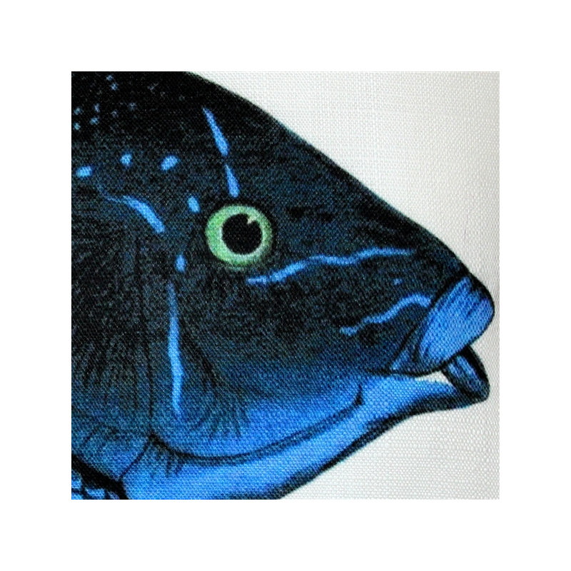 Coussin intérieur / extérieur Wrasse Fish