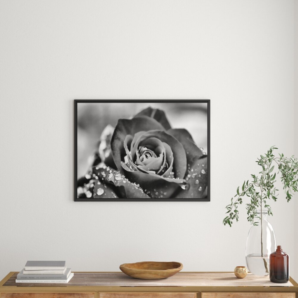 Gerahmtes Wandbild Rose mit Wassertropfen