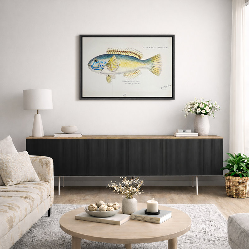 Art rétro de poisson perroquet scientifique, images de salle de bain, art mural impression sur toile encadrée.