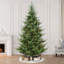 Gracijus 9' Lighted Artificial Spruce Christmas Tree
