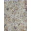 Jelly Random Sized Onyx Mosaic Tile in Yellow 12"x12" Floor and Wall Mosaic