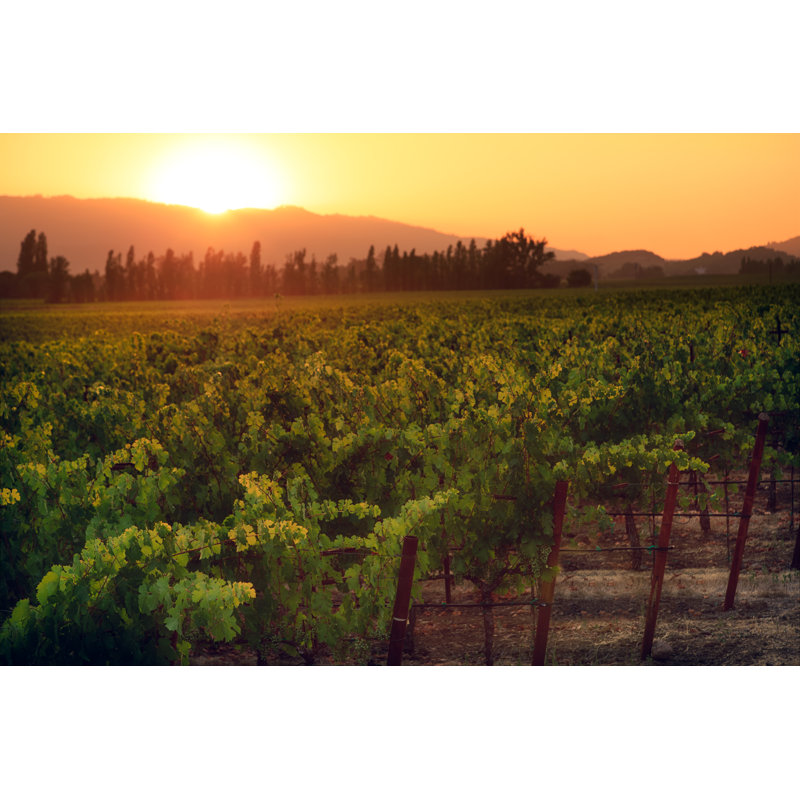 Napa Valley by Espiegle, 20" H x 30" W
