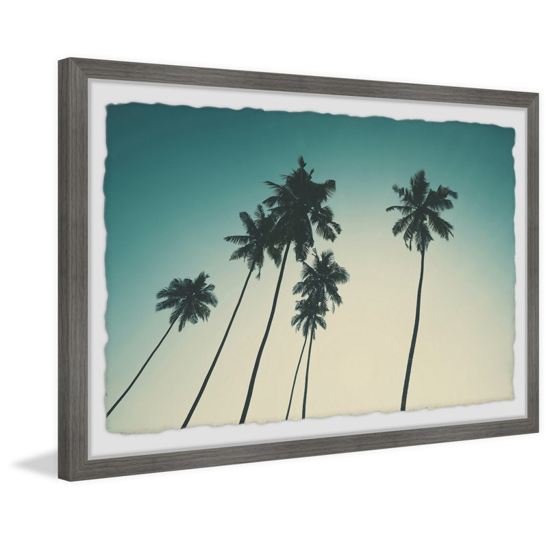 Palm And The Blue Sky - Single Picture Frame Print, 38cm H x 45cm W x 3.81cm D
