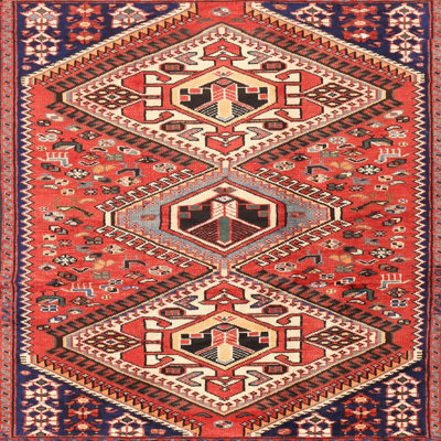 Southwestern Indoor Rug
