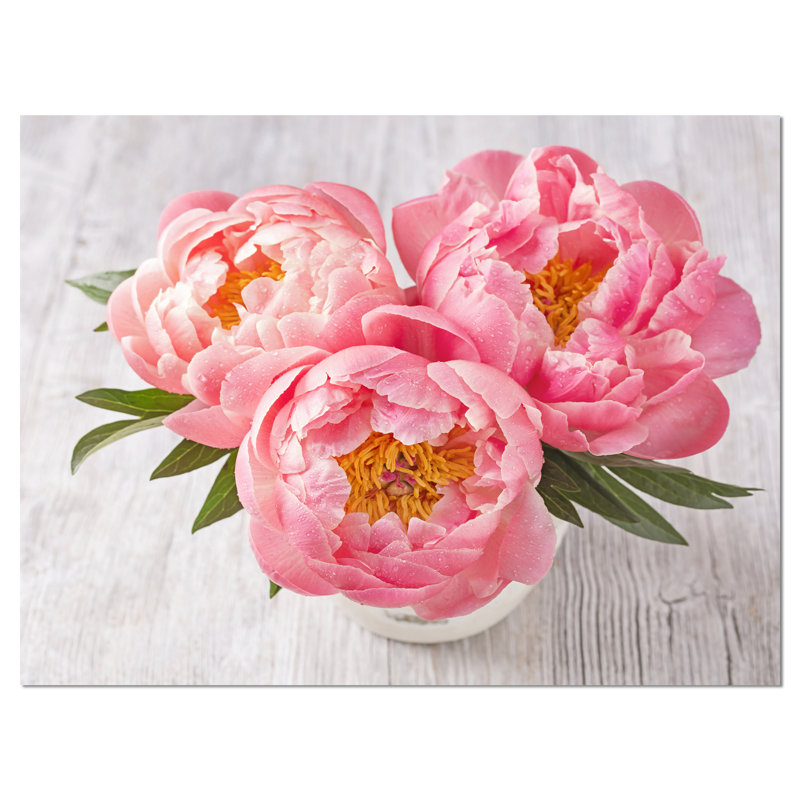 Peony Flowers White Canvas Print with Wood Frame, 30x20"