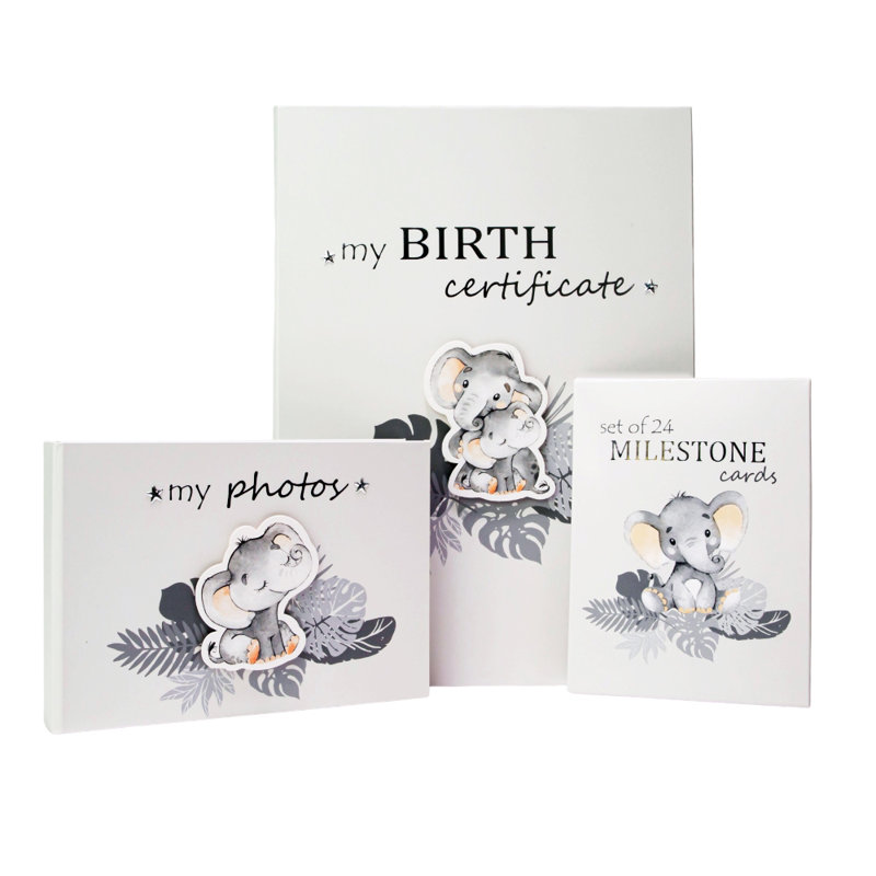 Cute Baby Elephant Photo Album