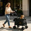 Pet Stroller, Foldable 4-Wheel Design-130714785