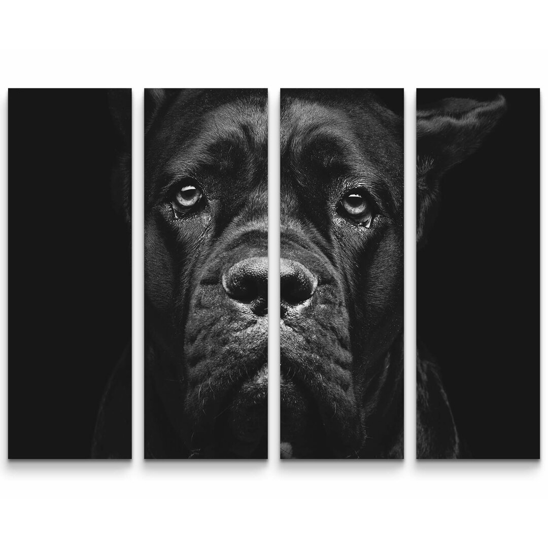 4-tlg.Â Leinwandbilder-SetÂ Cane Corso Portrait