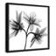 Collection Twins & Trio «Daffodil Trio - Square Version» par Albert Koetsier-100429958-100429959