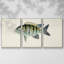 Collection de poissons tropicaux VI 3 pièces-2133593197-2133593188