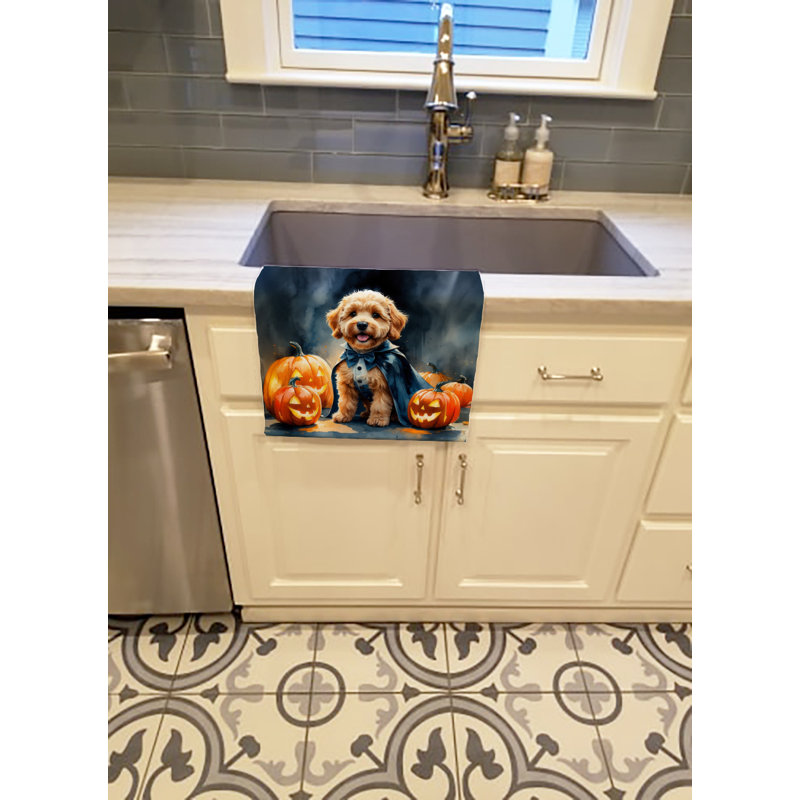 Torchon Goldendoodle, Goldendoodle