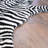 Duquense Wool Animal Print Indoor Rug-29997141