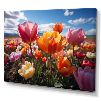 " Tulips Fields of Color IV " Mixed Media and Color Photography Print