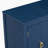 Accent Cabinet-899452517