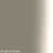 Gloss Taupe (Black Trim)