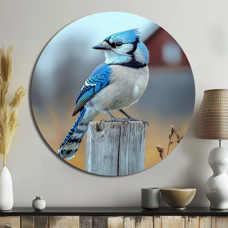 Jordina - oiseau rond, impression murale en métal bleu moderne, H 16 po x l 16 po
