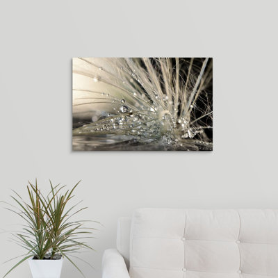 « Straub Pearls » par Maryam Zahirimehr - reproduction de photo