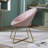 Enneko Velvet Accent Chair-1024677492