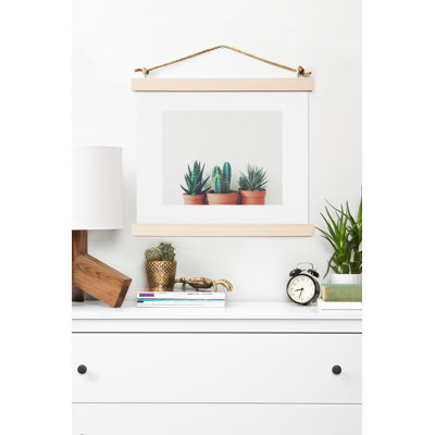 « poted plantes », reproduction de photo