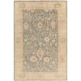 Daucourt Wool Oriental Area Rug