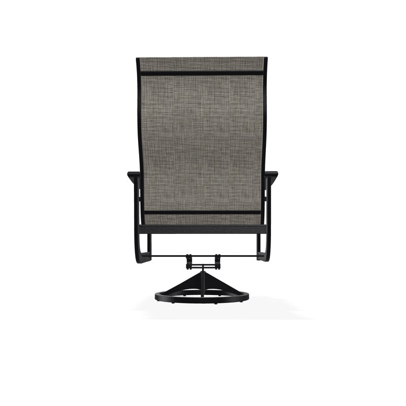 St. Catherine Polymer Outdoor Lounge Chair, Black, Augustine Shadow