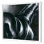 Horse Detail 2 Print by Altamura, Stefano-2027767212-2027767211