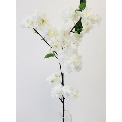 Jet de fleurs de cerisier