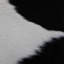 Cowhide Rug Black And White