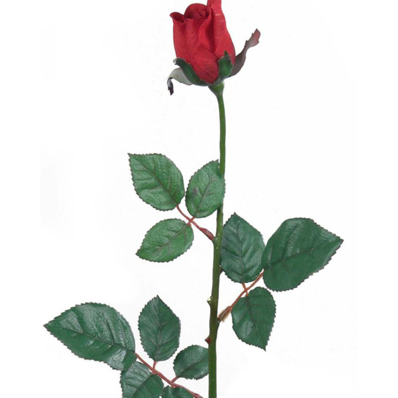 Fausse plante à fleurs