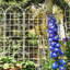 Barrière de jardin, treillis de jardin en métal antirouille pour les plantes grimpantes