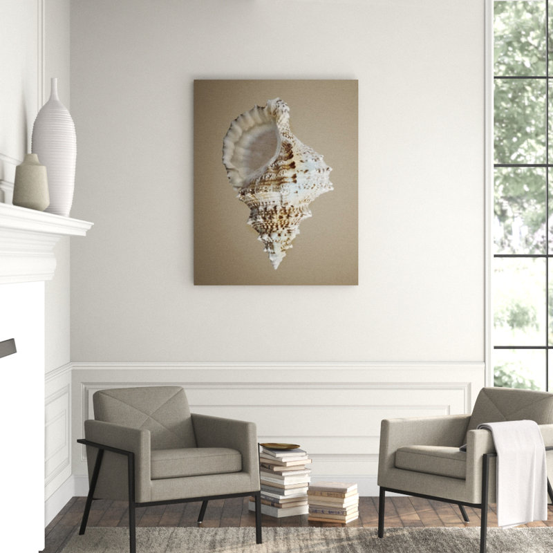 Shells On Champagne IV Print by Sofia Fox, 50" H x 40" W x 1.5" D, Glass Coat