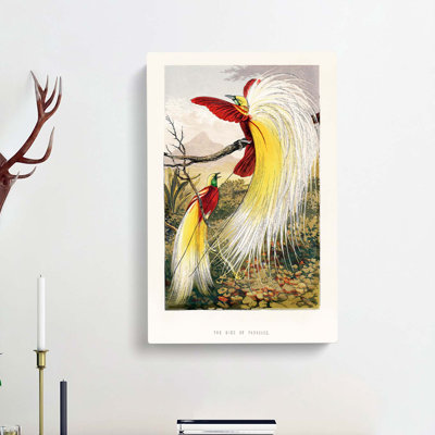 Two Birds Of Paradise by Benjamin Fawcett - Single Picture Frame Painting