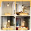 Digiacomo 2 - Light Transparent Drum Pendant