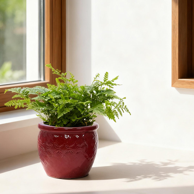 Pot de fleurs en céramique de haute qualité, Pâte de haricots rouge