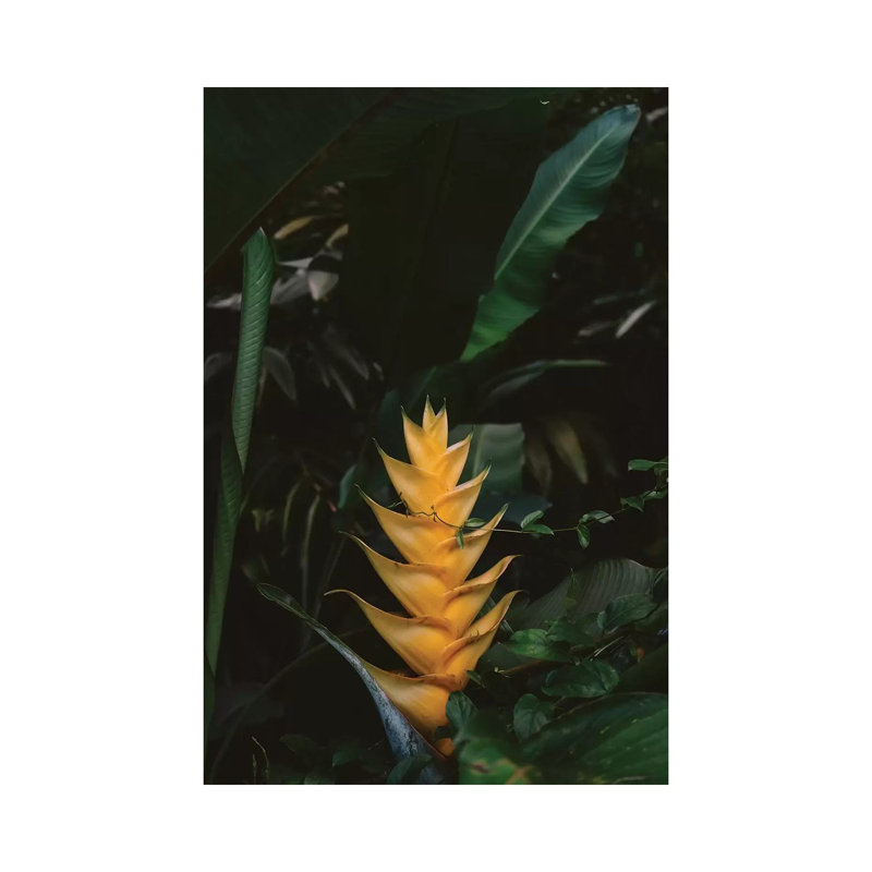 «Tropical Hawaii VIII» par Bethany Young, reproduction de photo sur toile tendue, H 60 po x l 40po x P 1,5 po