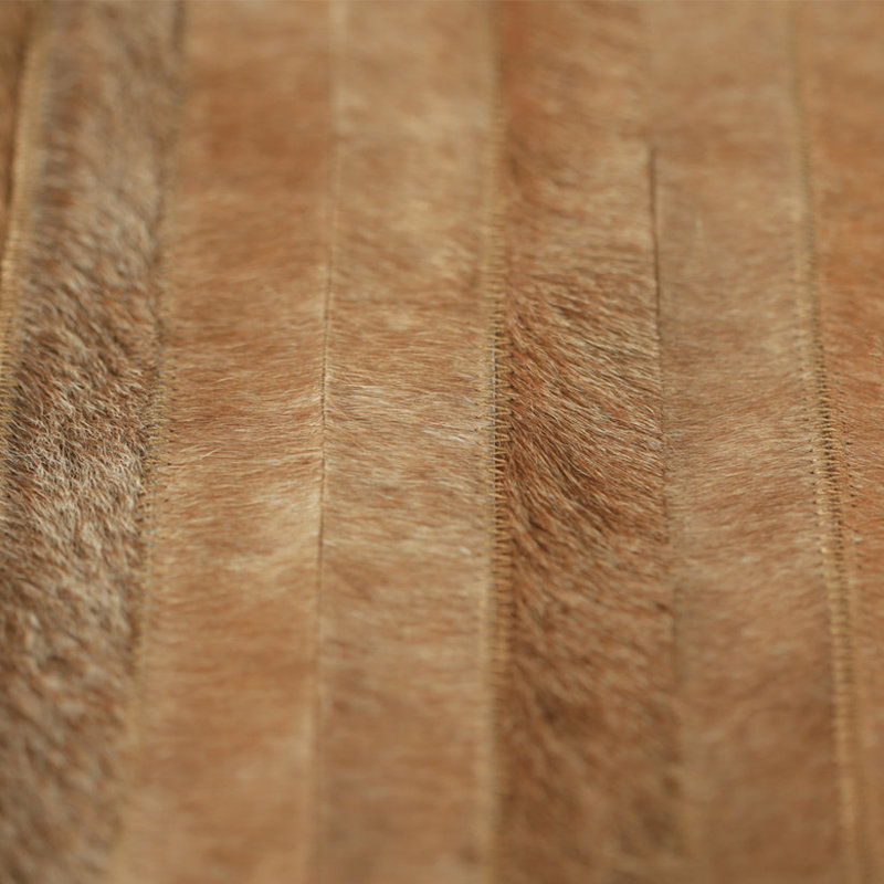 Art Hide Cowhide Area Rug in Tan