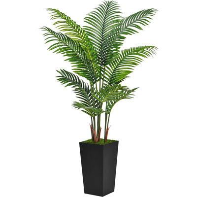 60 plantes