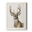 Colchique Handsome Whitetail I - reproduction de photo sur cadre simple-88378435-88378441